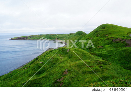 礼文島のスコトン岬１ 43640504