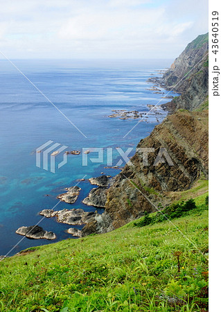 礼文島西海岸５ 43640519