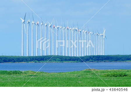 オトンルイ風力発電所１ 43640546