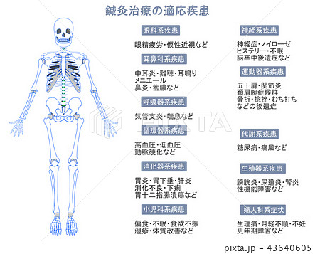 鍼灸治療の適応疾患図 骨格9 グレー色 説明あり のイラスト素材 43640605 Pixta