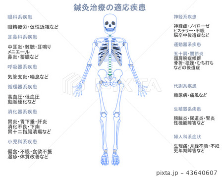 鍼灸治療の適応疾患図　骨格10（グレー色・説明あり） 43640607