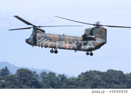 森林地帯でホバリングする災害派遣でも活躍する陸上自衛隊のCH-47Jチヌーク輸送ヘリ 43640926