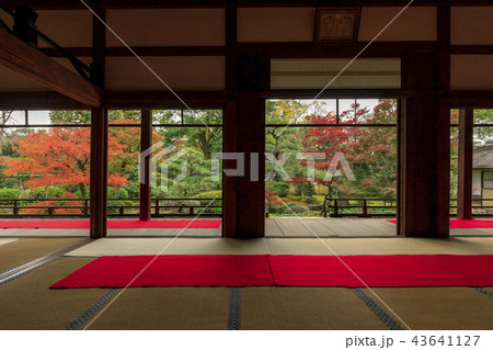 正伝永源院　紅葉 43641127