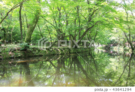 兜率天 禅雲寺 夏 43641294