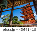 宮島　千畳閣と五重塔 43641418