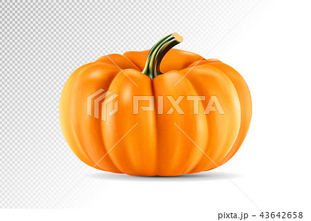Realistic vector pumpkin isolated on transparency grid background. 3d illustration Realistic vector pumpkin isolated on transparency grid background. 3d illustration 43642658