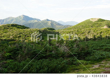 光岳小屋からの景色 光岳小屋からの景色 43643838