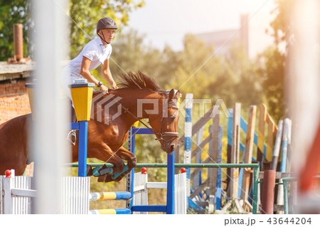 Young man riding horse on show jumping event 43644204