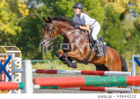 Young horse rider girl on show jumping competition 43644222