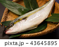 平政 43645895