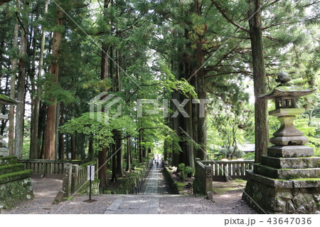 光前寺参道 43647036