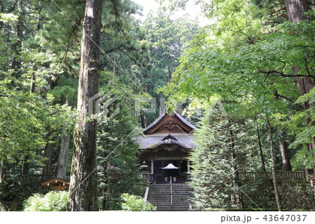 光前寺本堂 43647037