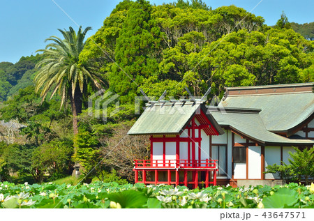 水沼神社 43647571