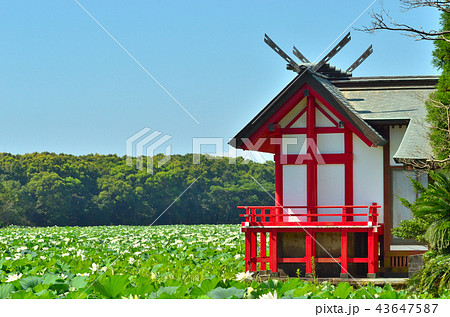 水沼神社 43647587