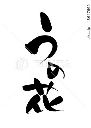 筆文字 うの花 食べ物 イラスト 筆文字 うの花 食べ物 イラスト 43647669