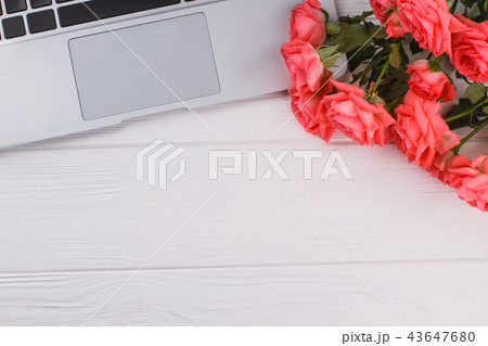 Laptop pc and rose flowers. Laptop pc and rose flowers. 43647680