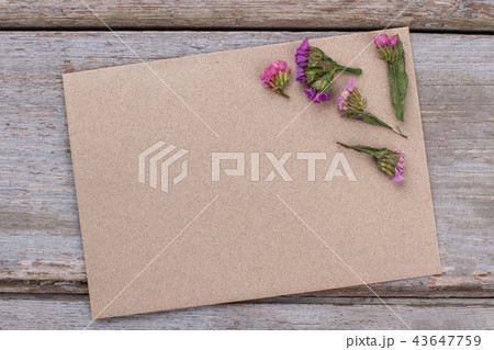 Blank cardboard and branches of statice flowers. Blank cardboard and branches of statice flowers. 43647759