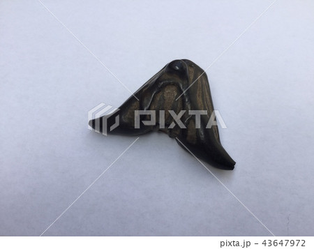 菱の実 天然まきびし 菱の実 天然まきびし 43647972