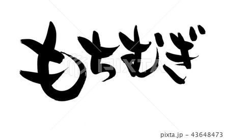 筆文字　もち麦　もちむぎ　食べ物　イラスト 43648473