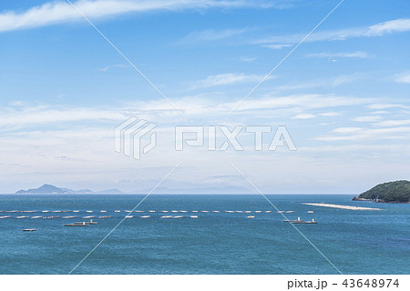 遠く霞む島並みを望む青い海に浮かぶ牡蠣養殖いかだ 遠く霞む島並みを望む青い海に浮かぶ牡蠣養殖いかだ 43648974