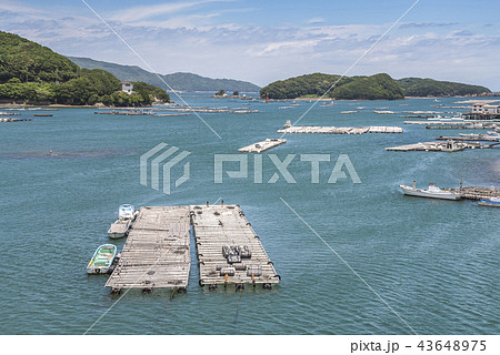 牡蠣の養殖いかだを見る生浦湾風景 43648975