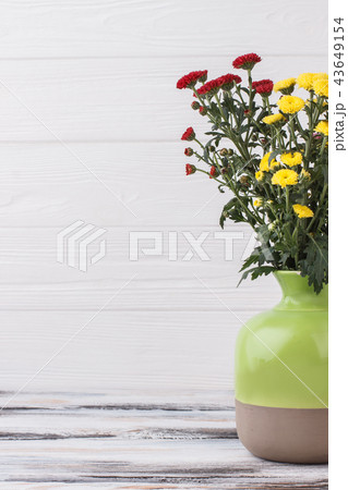 Multicolored chrysanthemum flowers and copyspace. 43649154