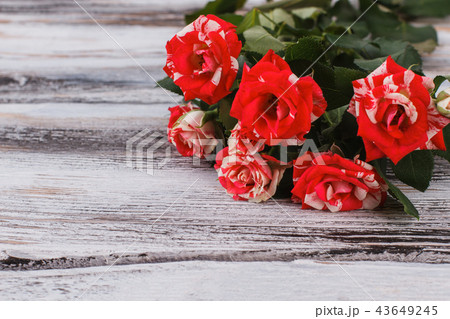 Bunch of red flowers on wood. Bunch of red flowers on wood. 43649245