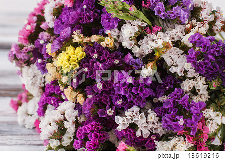 Blooming lilac flowers close up. Blooming lilac flowers close up. 43649246