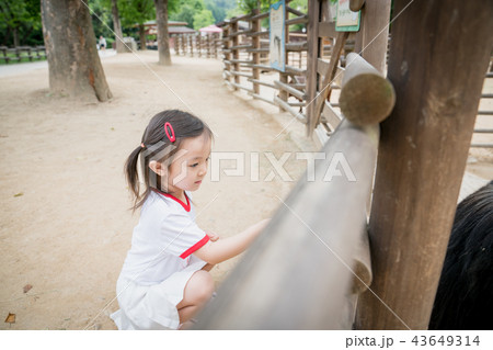 人 人間 屋外 43649314