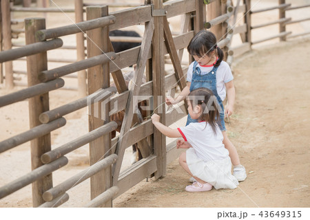 子供 人物 女性 43649315