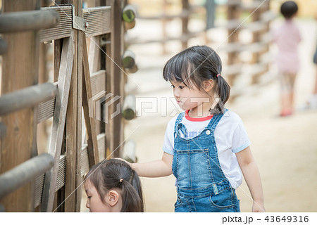 子供 人物 女性 43649316