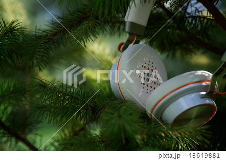 Headphone hanging on fir in sunny day Headphone hanging on fir in sunny day 43649881