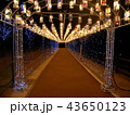 ランタン 43650123
