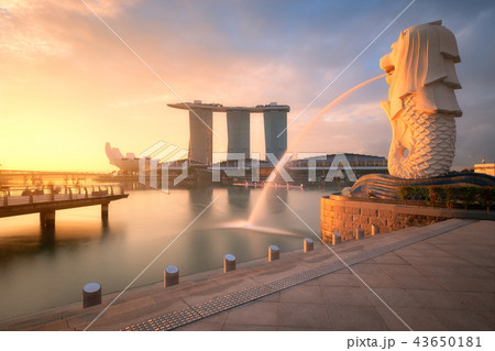 Aerial view of Singapore in morning 43650181