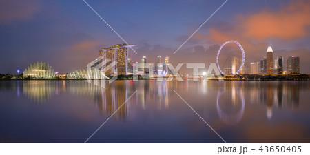 Aerial view of Singapore cityscape with reflection 43650405