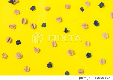 dried flowers on yellow background 43650452