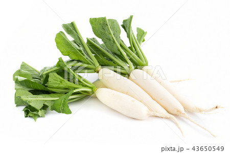 fresh white radish isolated on white background 43650549