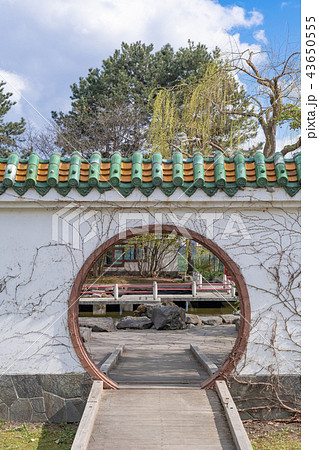 晴れた日の中華庭園 43650555