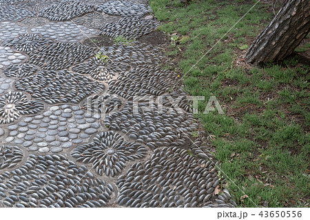 晴れた日の中華庭園 43650556