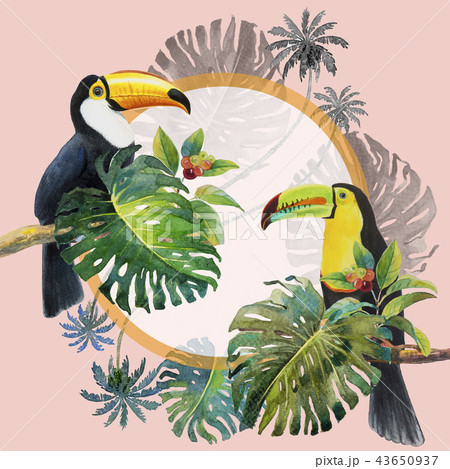 Tropical Leaves Of Monstera And Toucan Bird のイラスト素材