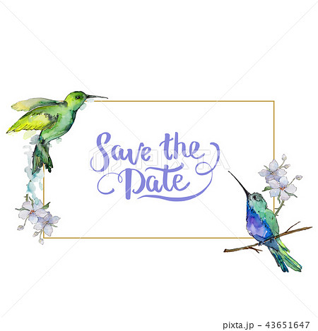 Sky bird colorful colibri in a wildlife by watercolor style. Frame border ornament square. 43651647