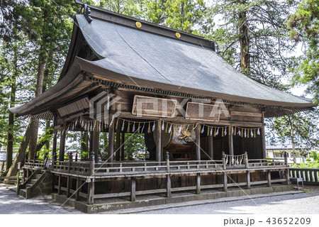 樹木に囲まれた諏訪大社上社本宮神楽殿 43652209