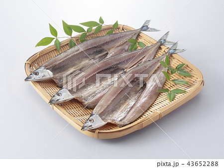 さんまの開き 43652288