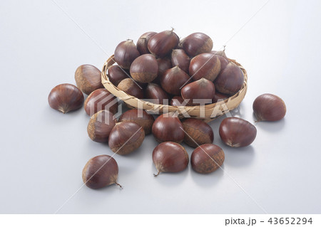 栗 栗 43652294