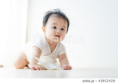 赤ちゃん 43652429