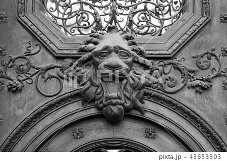 brass lion head on the door, black and white 43653303