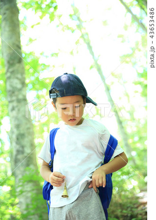 ハイキングする子供 ハイキングする子供 43653486