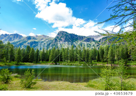 San Pellegrino lake in the Italian Dolomites 43653679