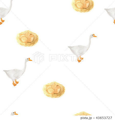 White ducks and nest. seamless pattern 43653727