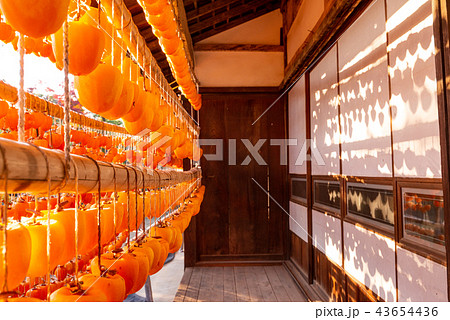 山梨県 ころ柿の里 枯露柿の写真素材